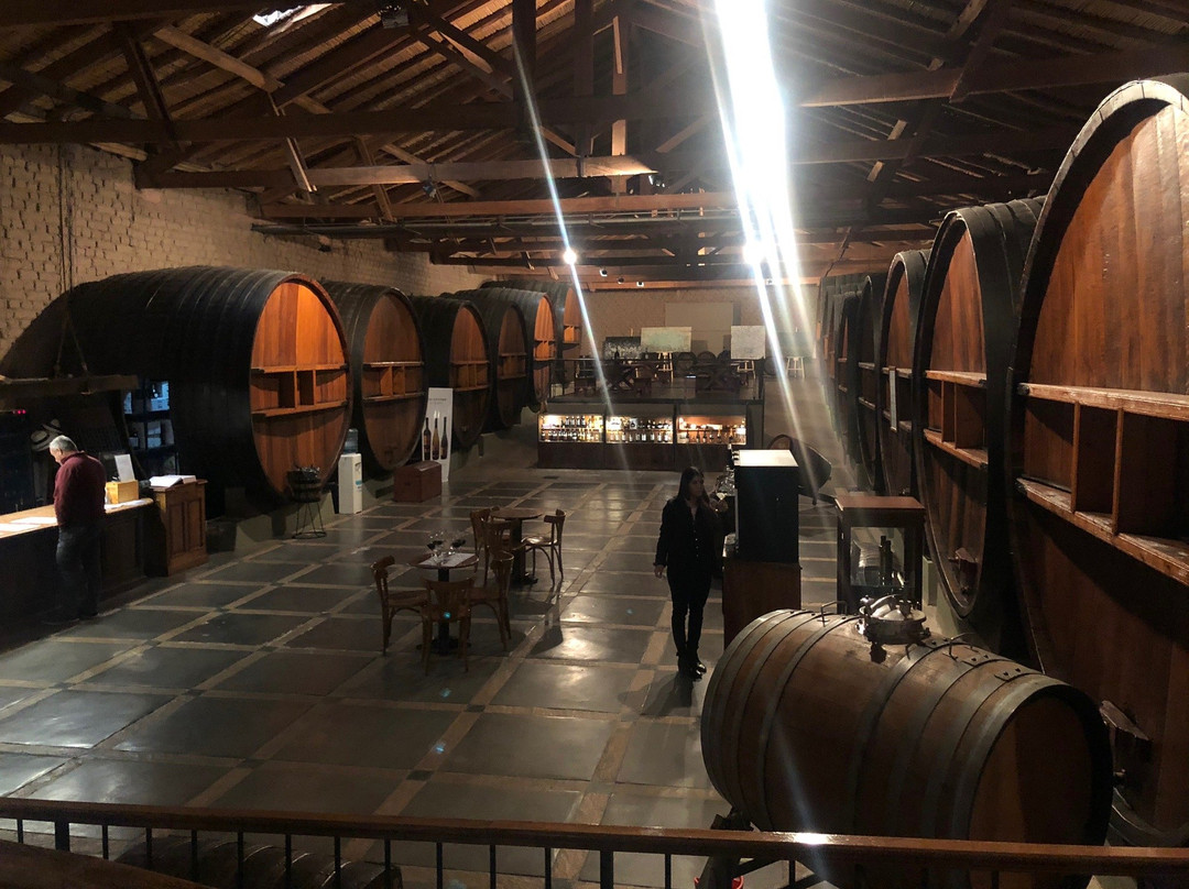 Museo del vino-Maipu必去景点