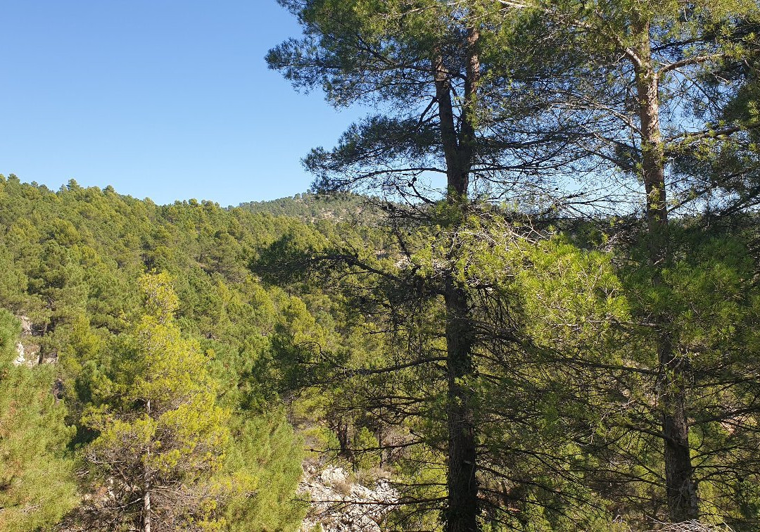 Paraje el Navazo de Abajo-Caravaca de la Cruz必去景点