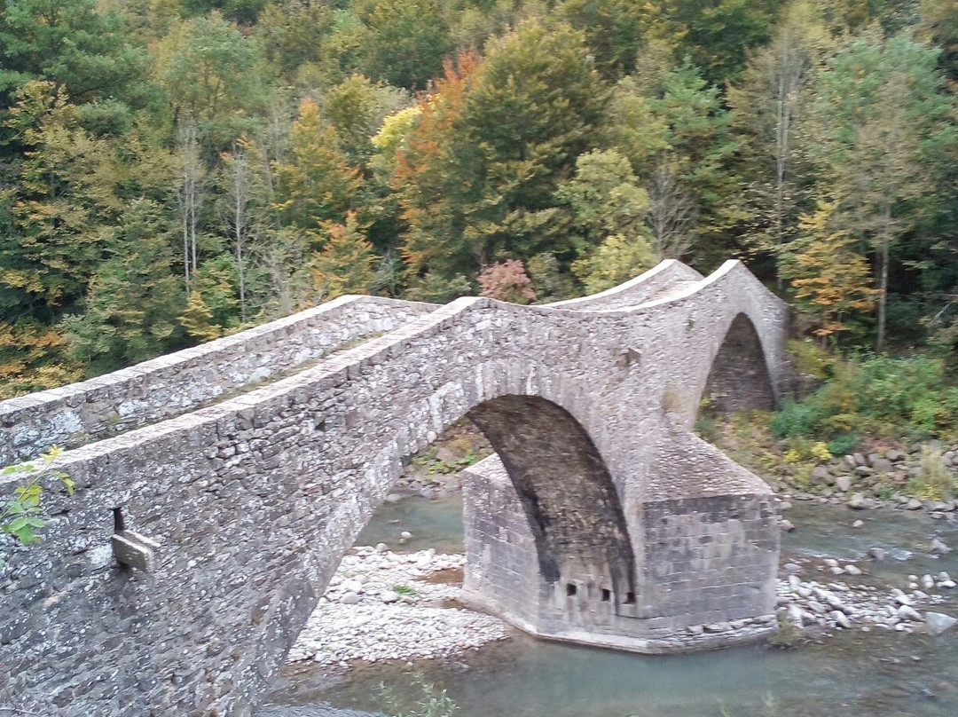 Ponte della Fola景点图片