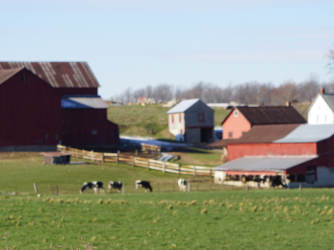 A Taste of the Backroads, LLC-Berlin必去景点