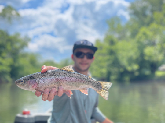 The Speckled Trout Outfitters