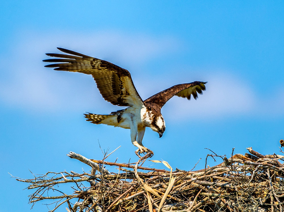 Marine Nature Study Area-Oceanside必去景点