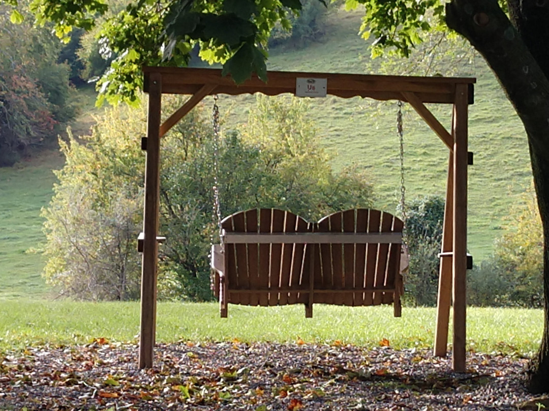 老弗吉尼亚旅馆主图