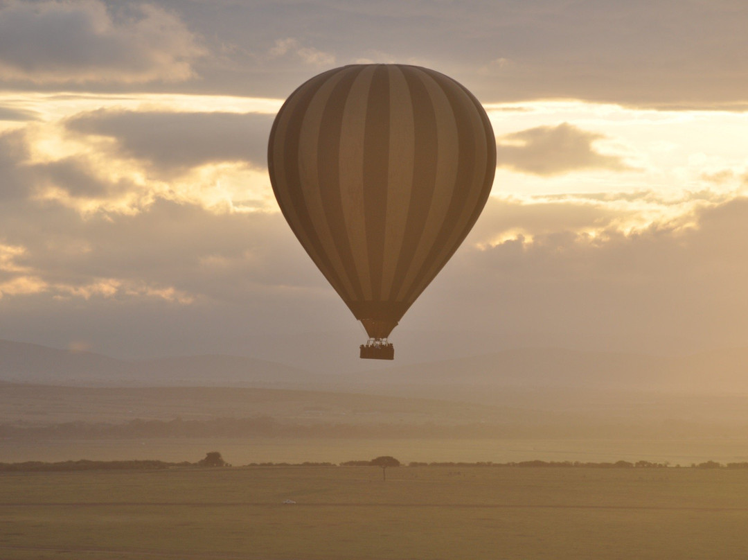 Deep Forest safari-Thika必去景点