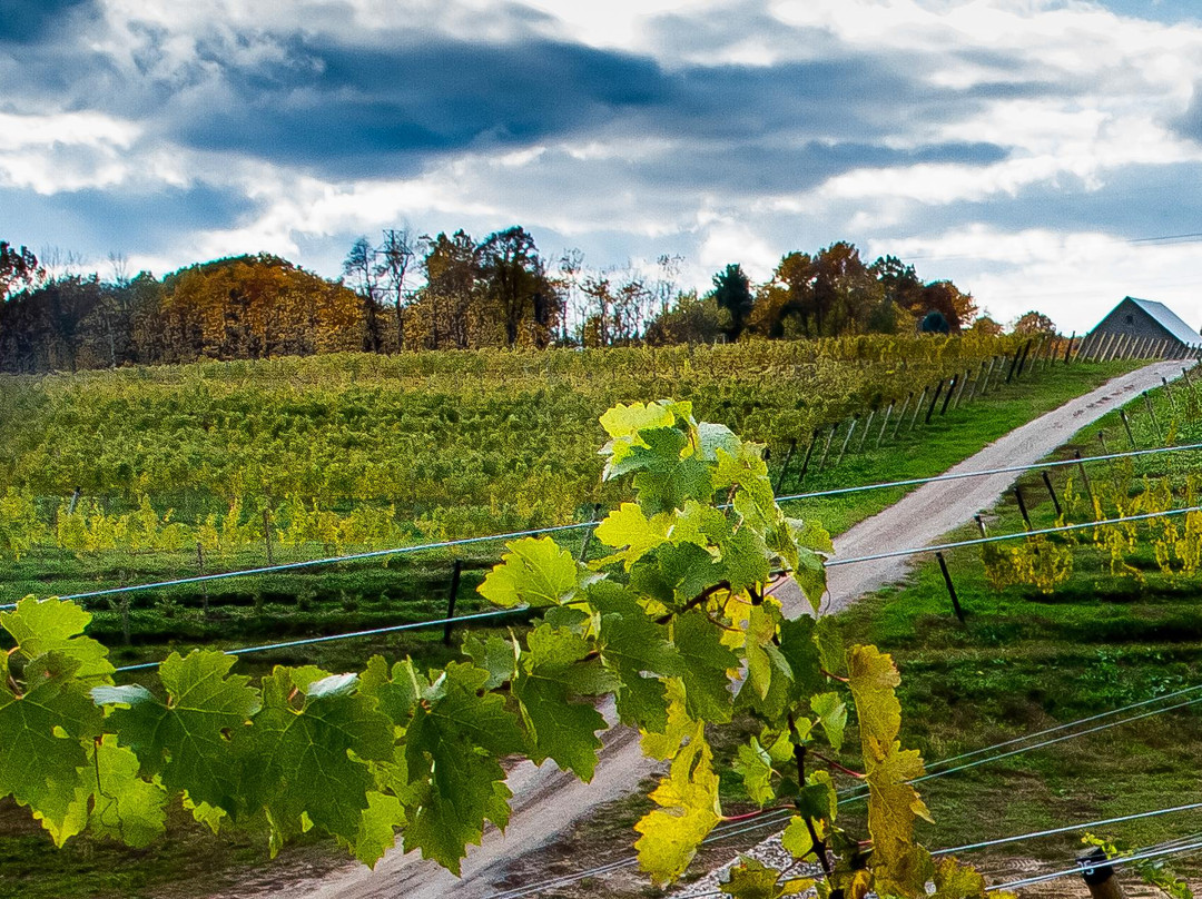 Dablon Vineyards & Winery景点图片