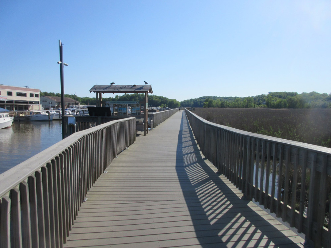 Chesapeake Beach Railway Trail景点图片