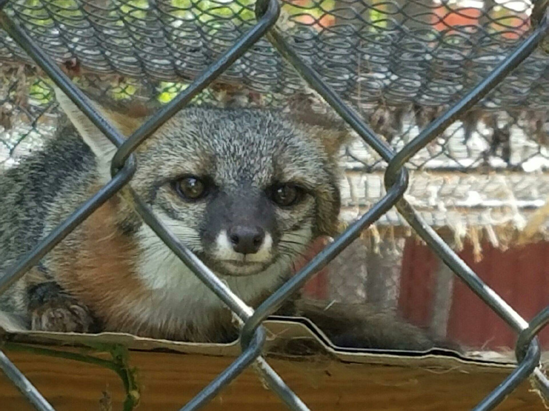 Cypress Zoo-Benton必去景点