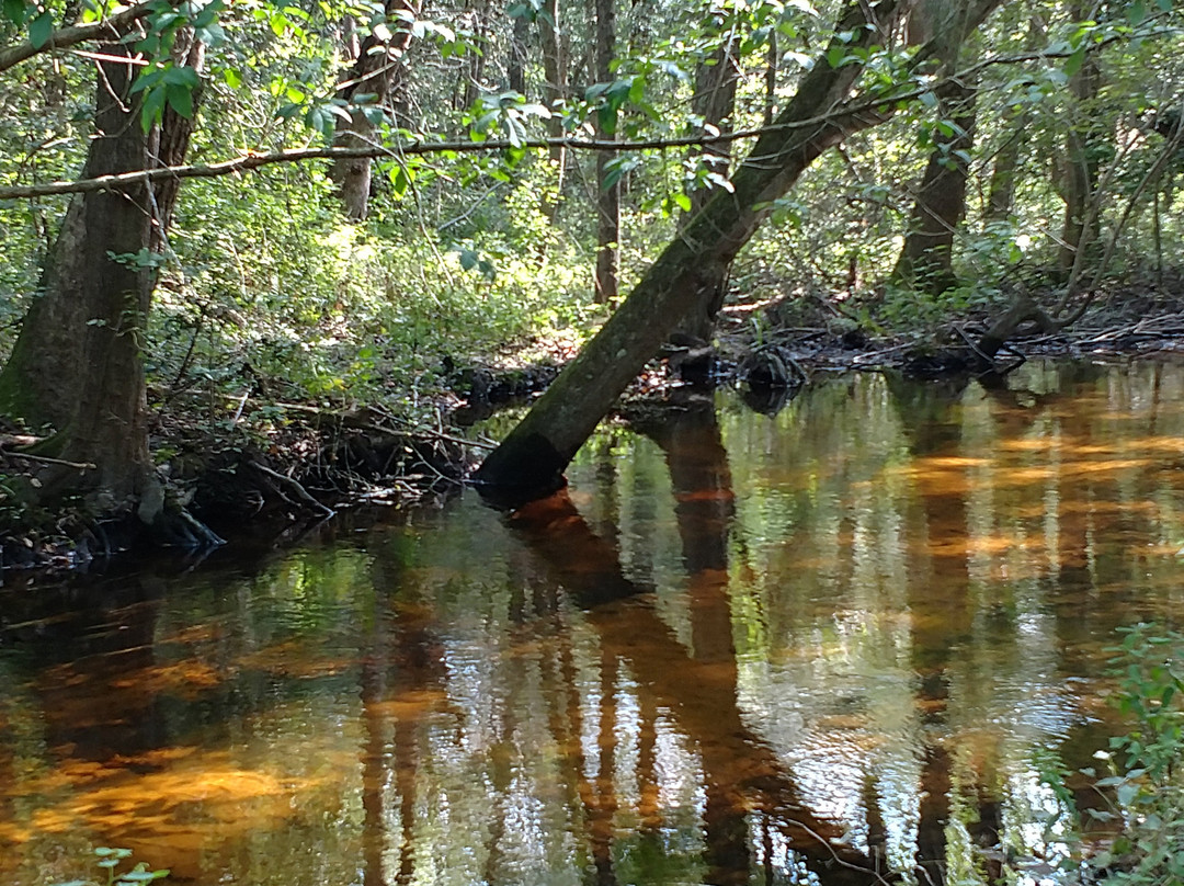 Frederica旅游景点-Browns Branch County Park