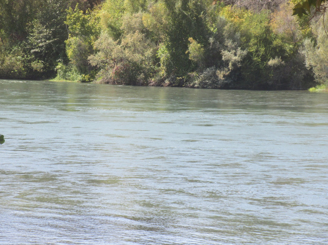 Sacramento River Bend Area景点图片