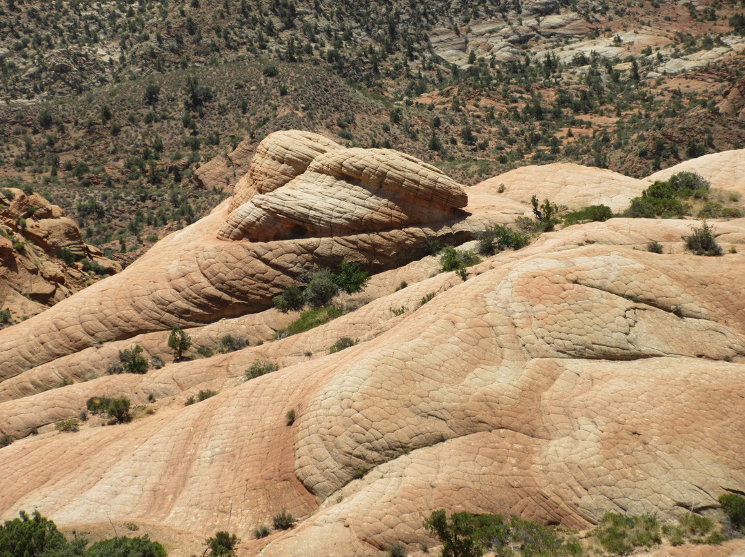 Yant Flat-Leeds必去景点