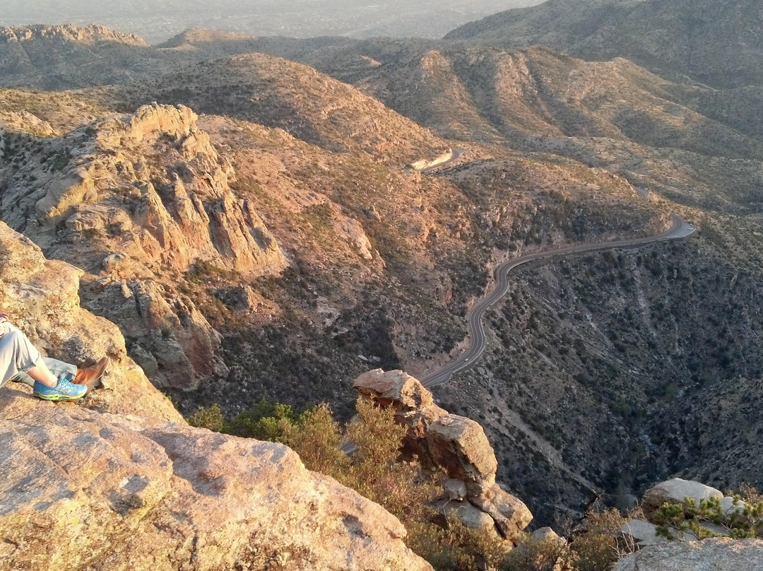 Mt. Lemmon Scenic Byway景点图片