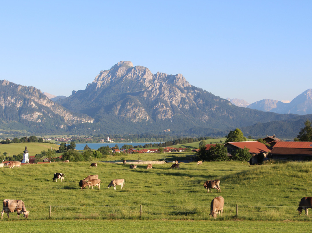 Rieden am Forggensee旅游攻略图片