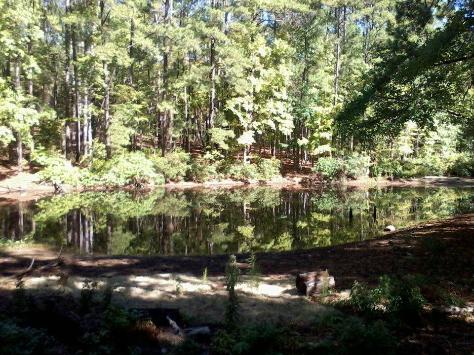 Mission Tejas State Park