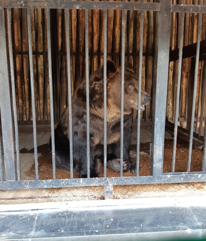 Samara Zoo-萨马拉必去景点