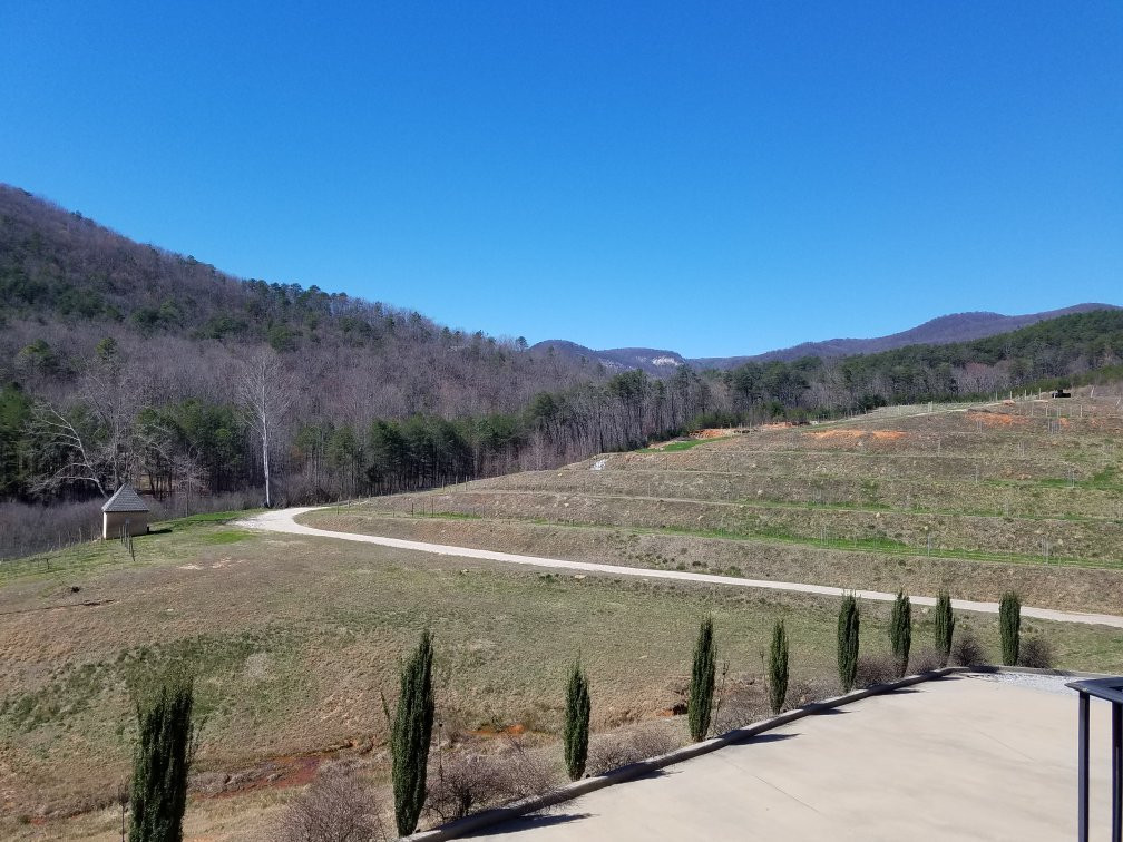 Victoria Valley Vineyard景点图片