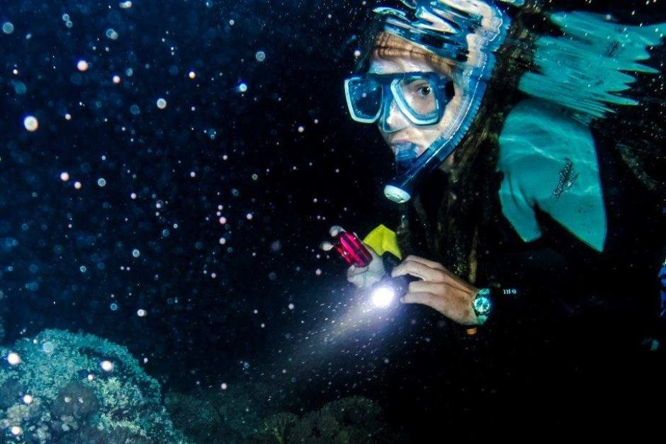 Night Snorkeling Adventure /Mauritius景点图片