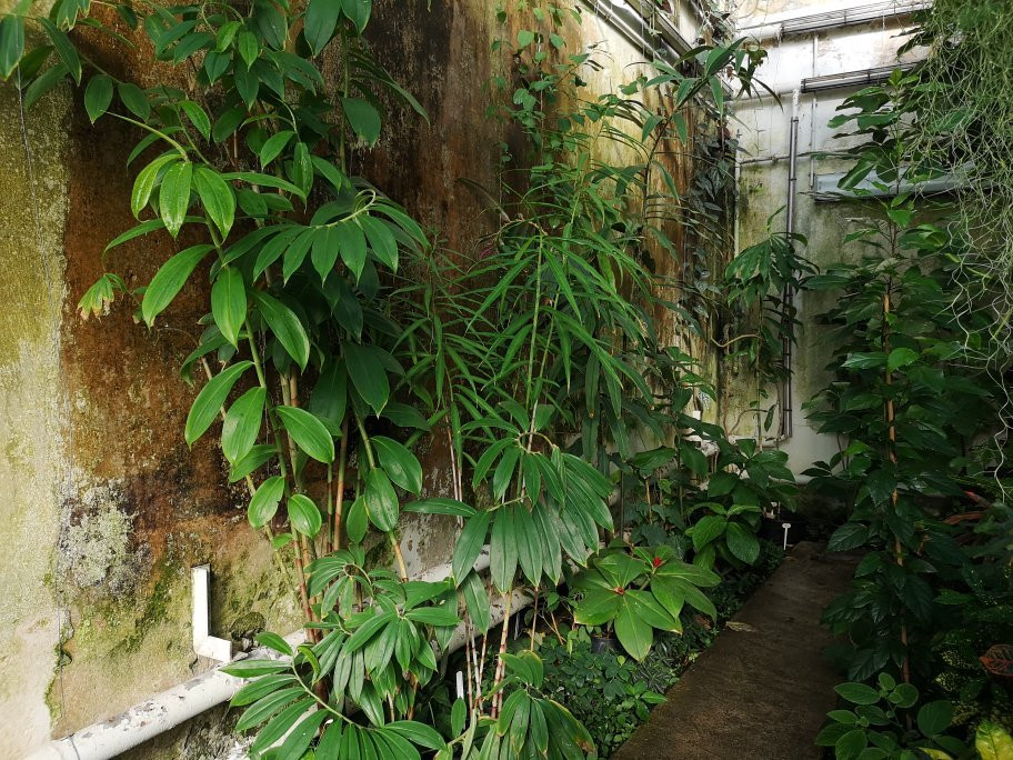 Botanischer Garten-哥廷根必去景点