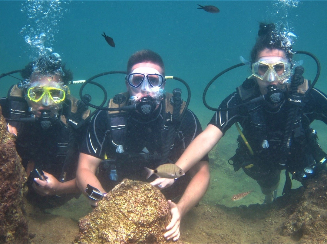 Diving Center Falcons景点图片