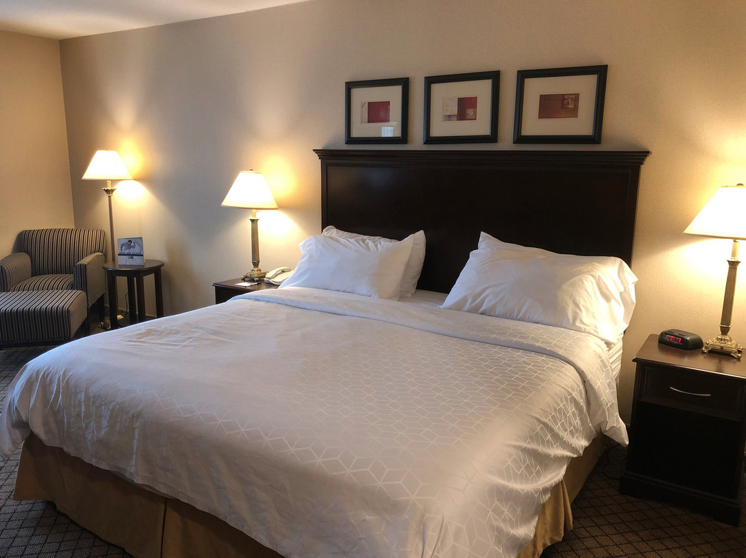 亨茨维尔智选假日套房酒店主图