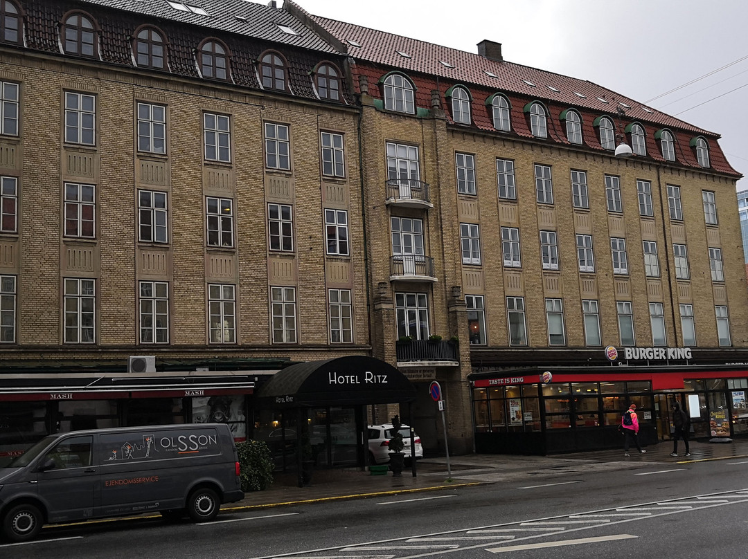 丽思奥胡斯市酒店主图