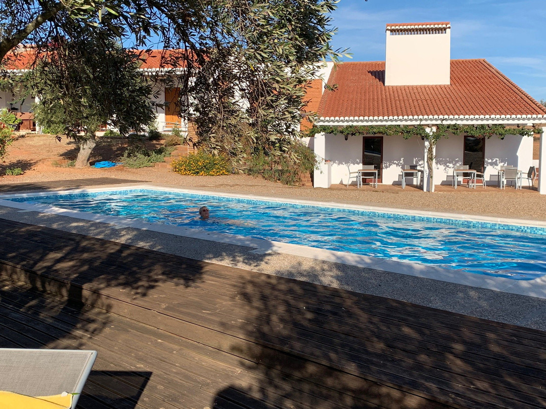 Cantar do Grilo主图