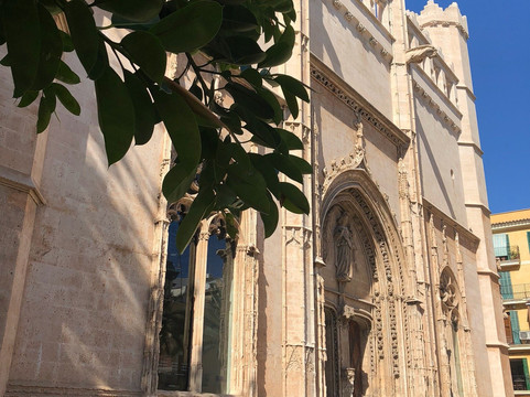 GreenTours Palma-马洛卡帕尔马必去景点