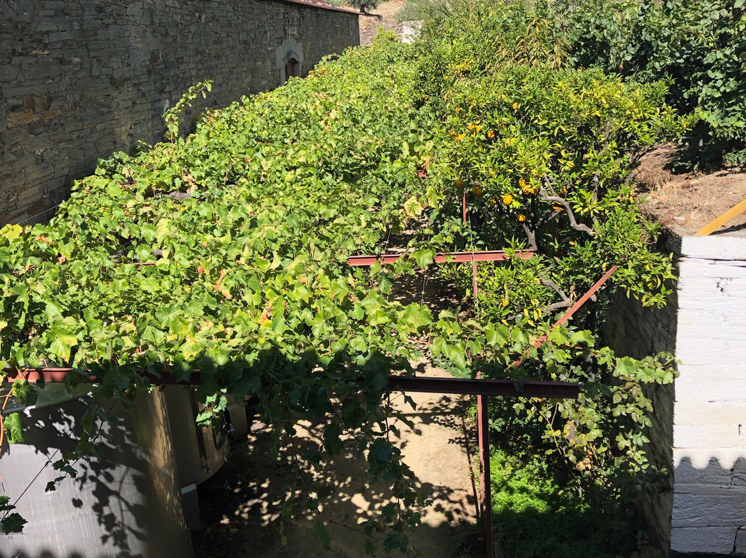 Quinta do Infantado-Vila Real必去景点