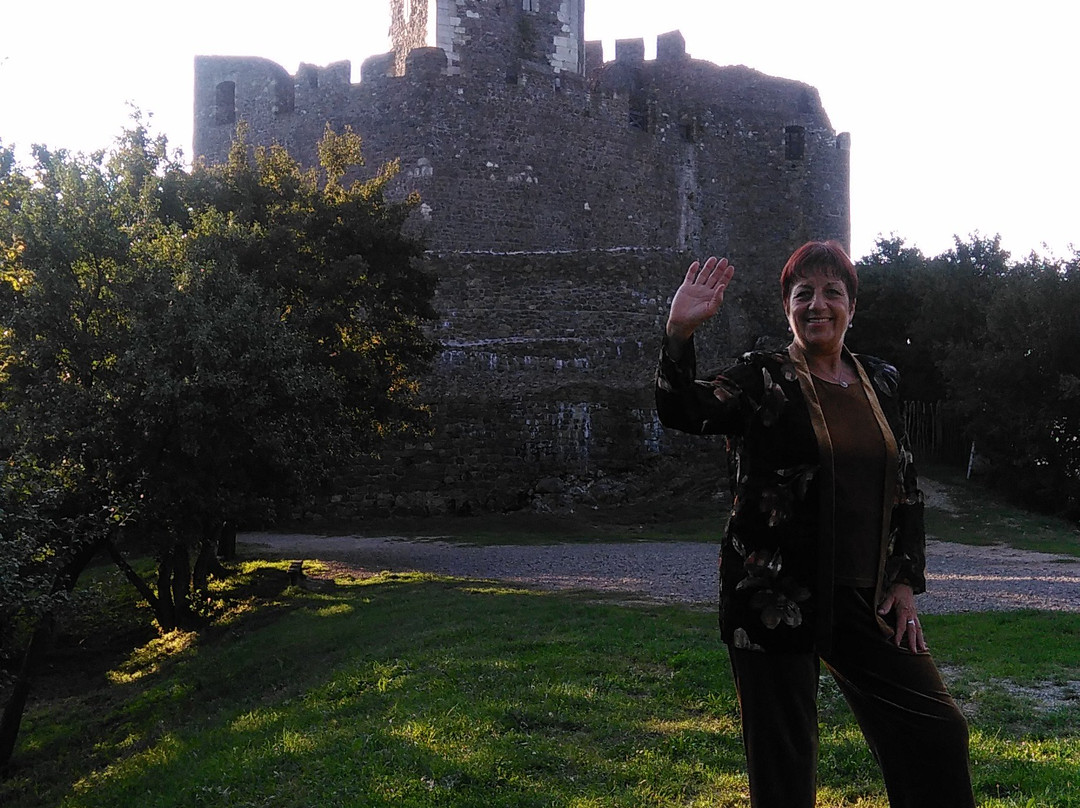 Hollokoi Vendeghaz主图