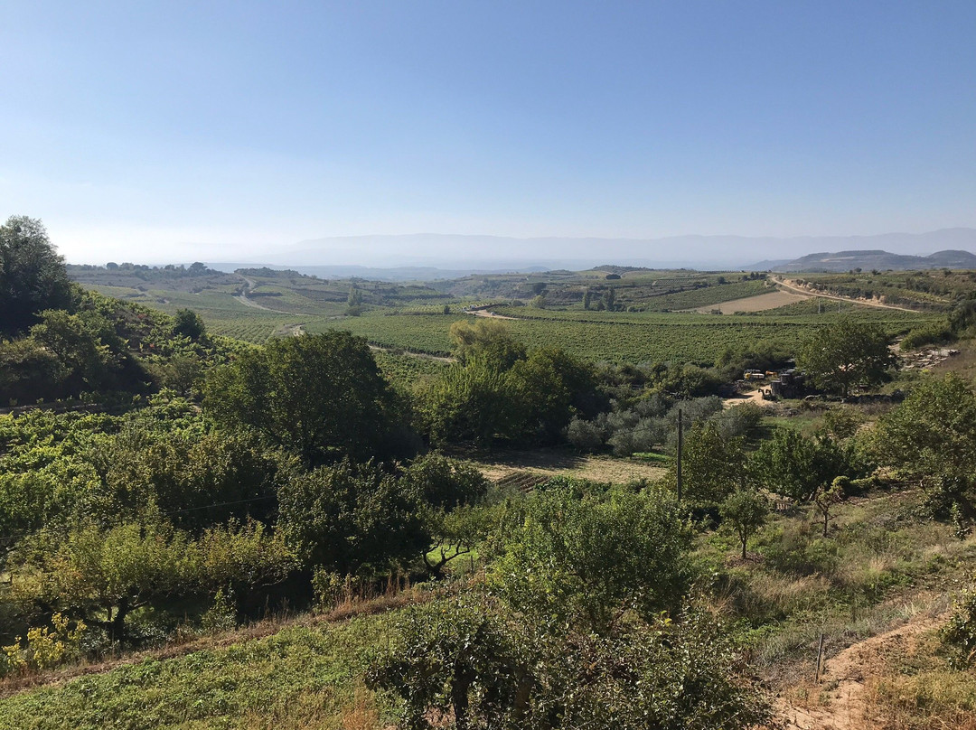 Casa Rural La Molinera Etxea主图