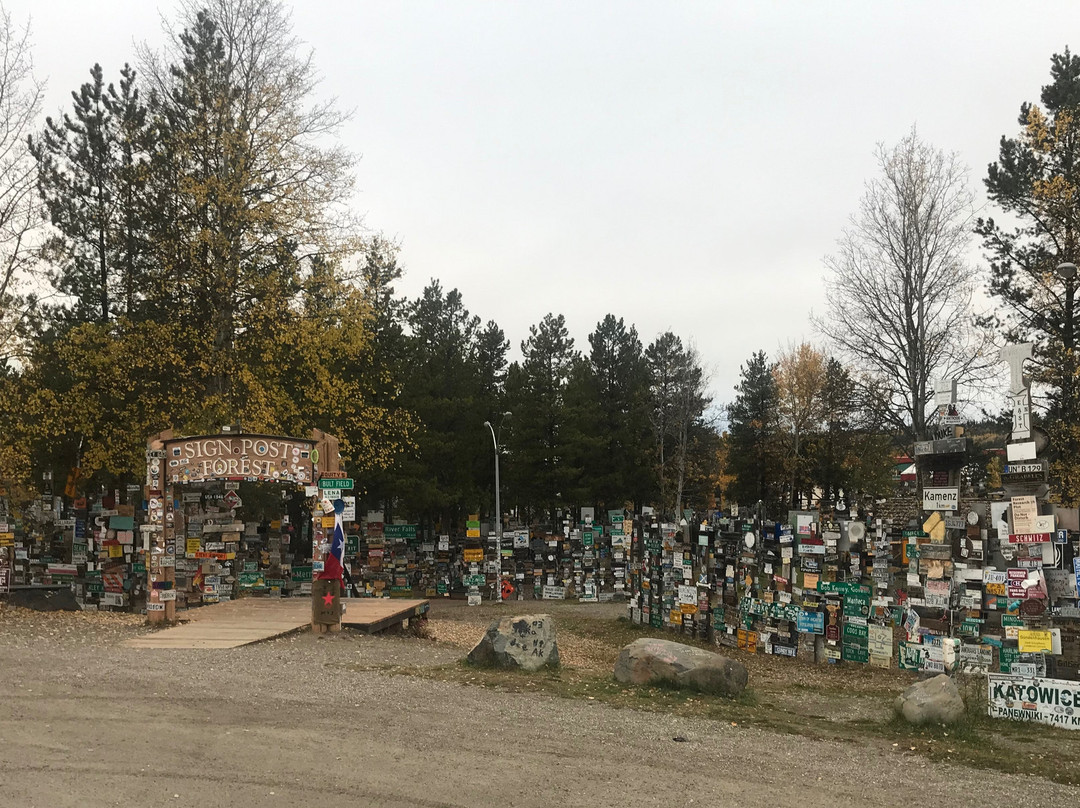 Sign Post Forest-Watson Lake必去景点