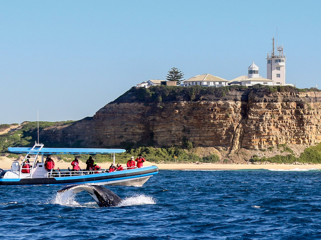 CoastXP-纽卡斯尔必去景点