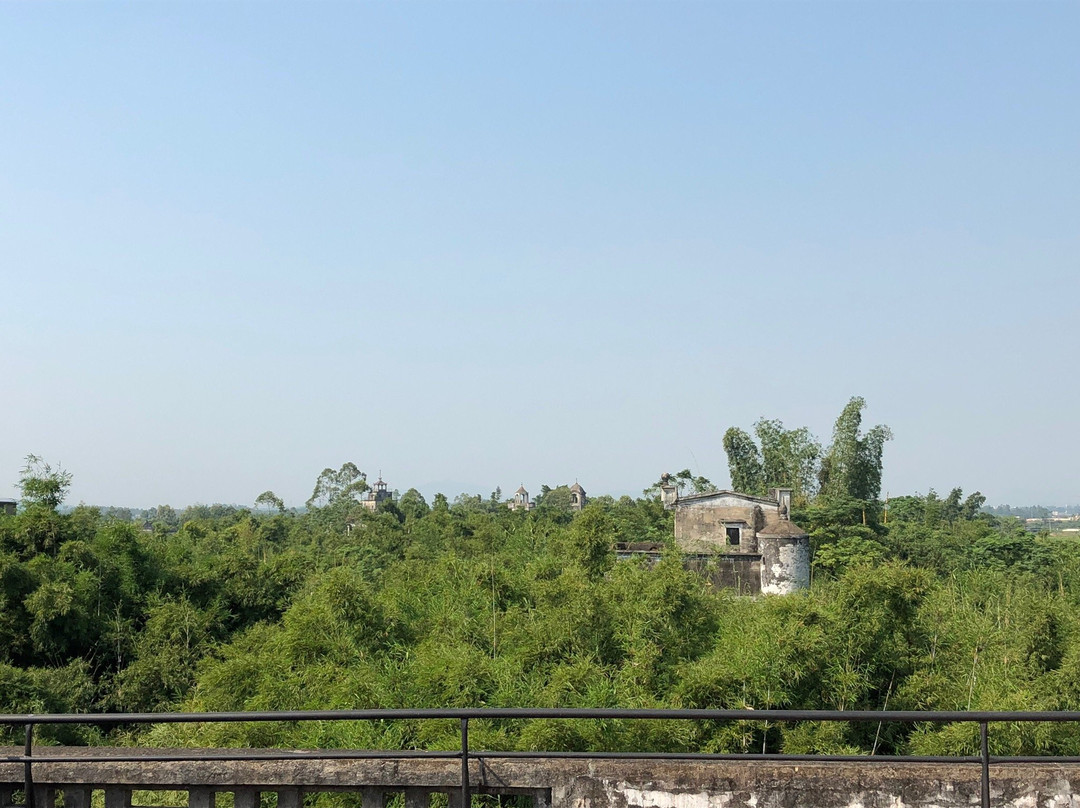 开平马降龙碉楼群景点图片