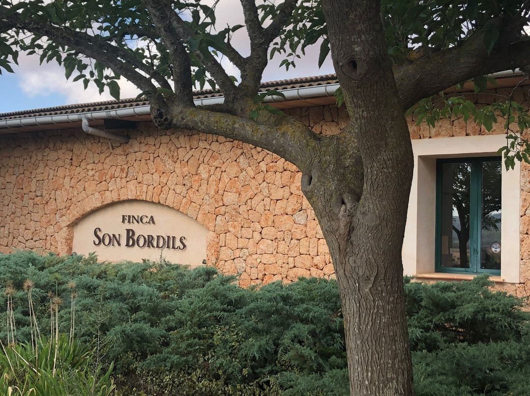 Finca Son Bordils景点图片