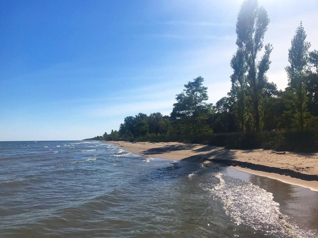 Rondeau Provincial Park景点图片