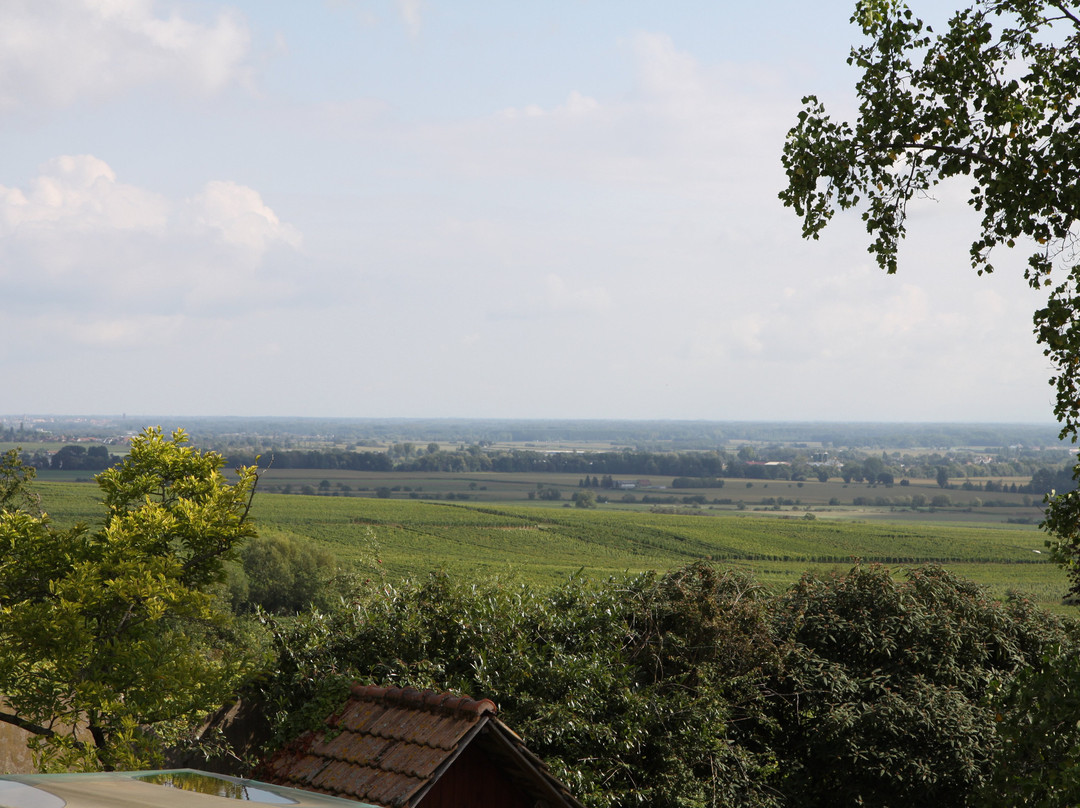 Jean Becker Le Vignoble aux 5 Sens-Zellenberg必去景点