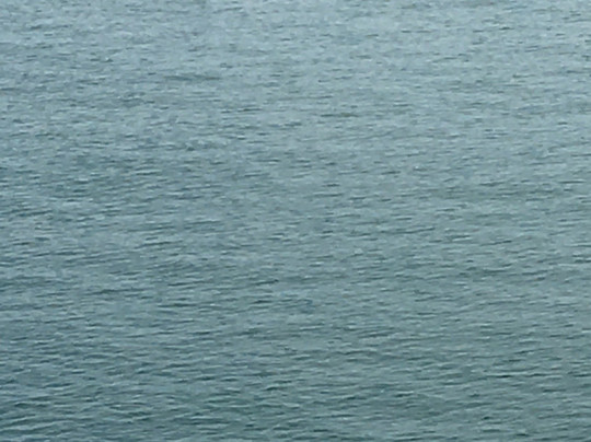 Excursions en Mer Baie de Tadoussac Day Tours-泰道沙克必去景点