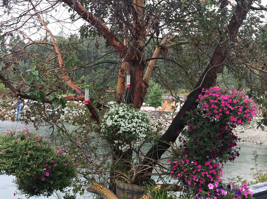 Lund Resort at Klah ah men主图