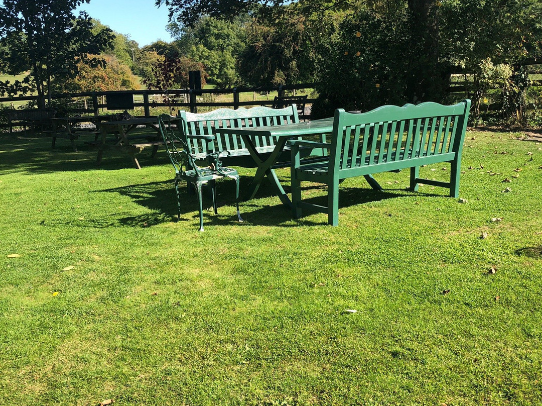 The White Horse主图