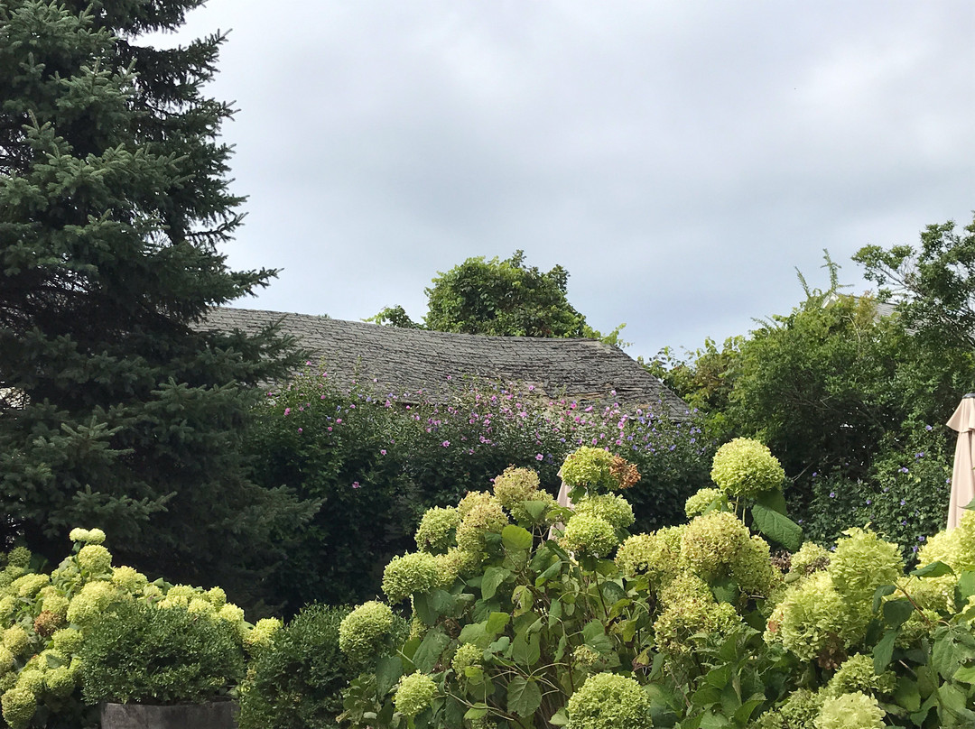 Lenz Winery景点图片