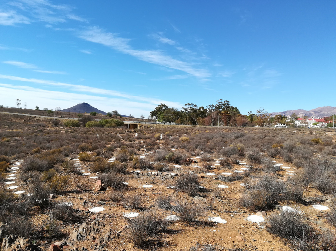 Snake Eagle Thinking Path