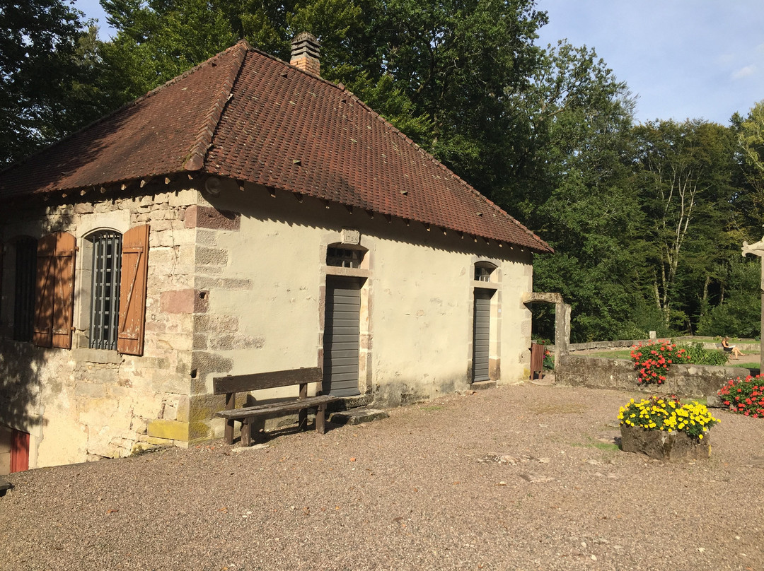 Parc Animalier de Fougerolles - Saint-Valbert-Fougerolles必去景点