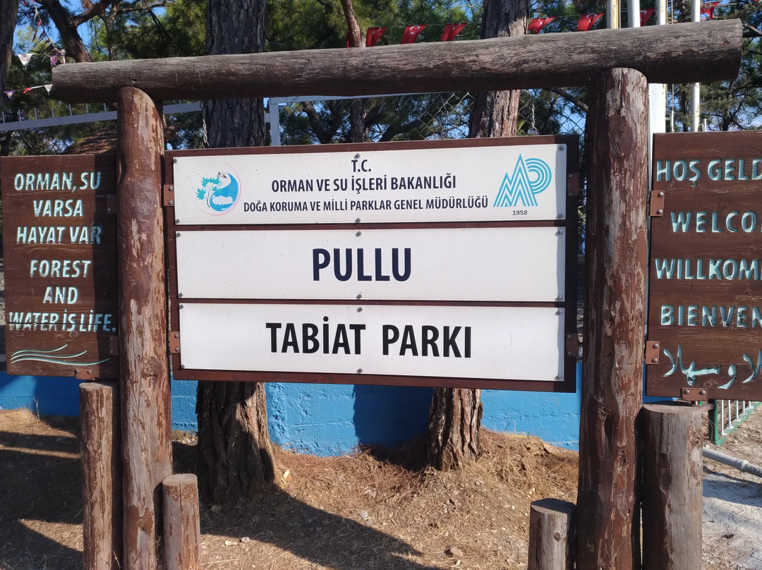 Pullu Tabiat Parki景点图片