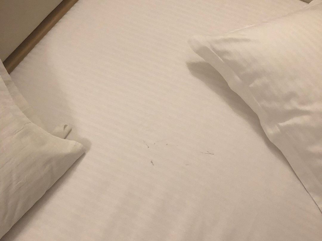 Viktoria Park Hotel主图
