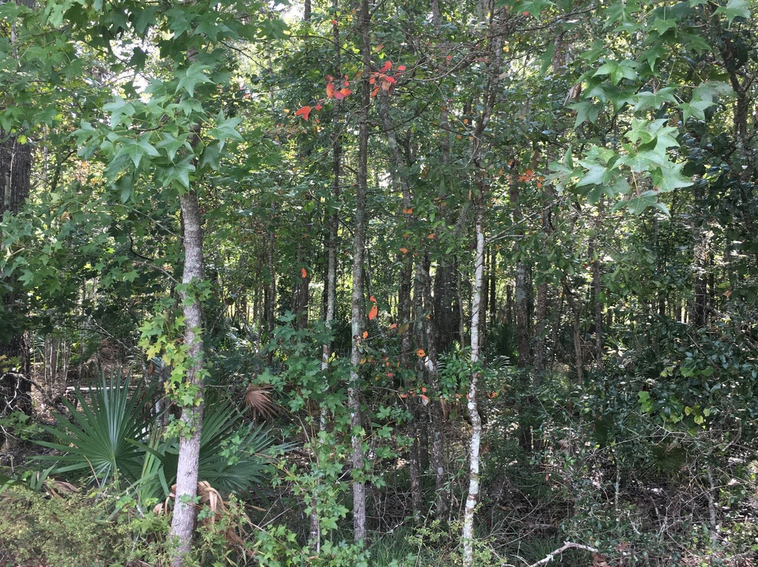 Tom Triplett Community Park-普勒必去景点