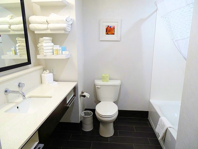 Hampton Inn Morristown I-81-浴室