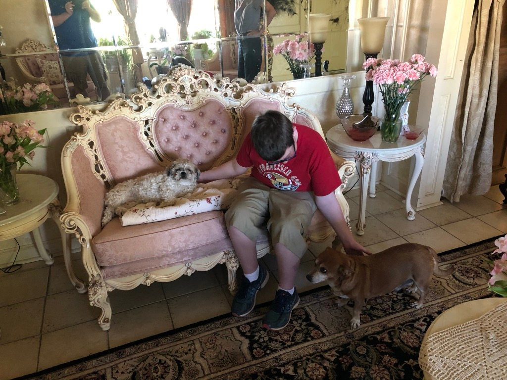 Shady Lady Bed and Breakfast主图