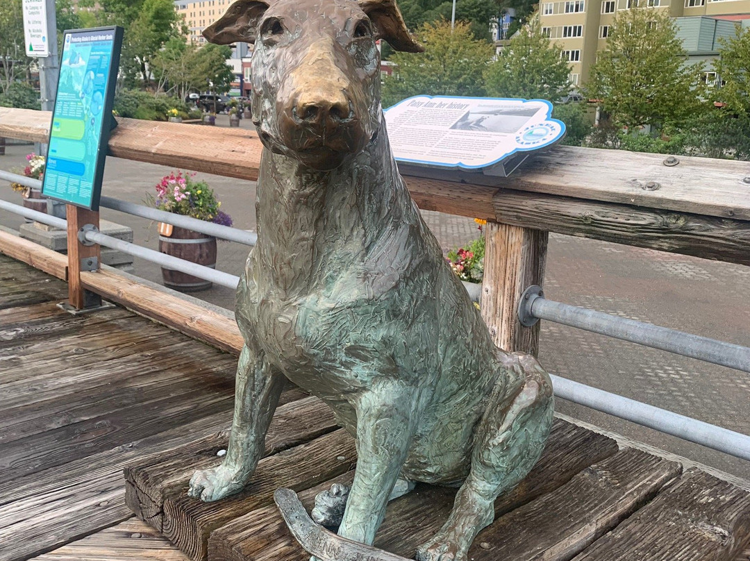 Statue of Patsy Ann, the Dog-朱诺必去景点