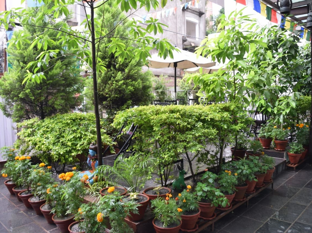 Oasis Kathmandu Hotel主图