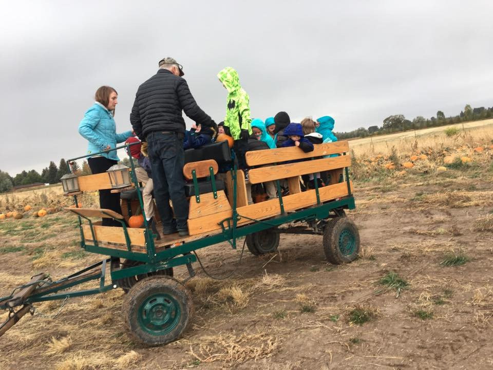 New Sweden Farms景点图片