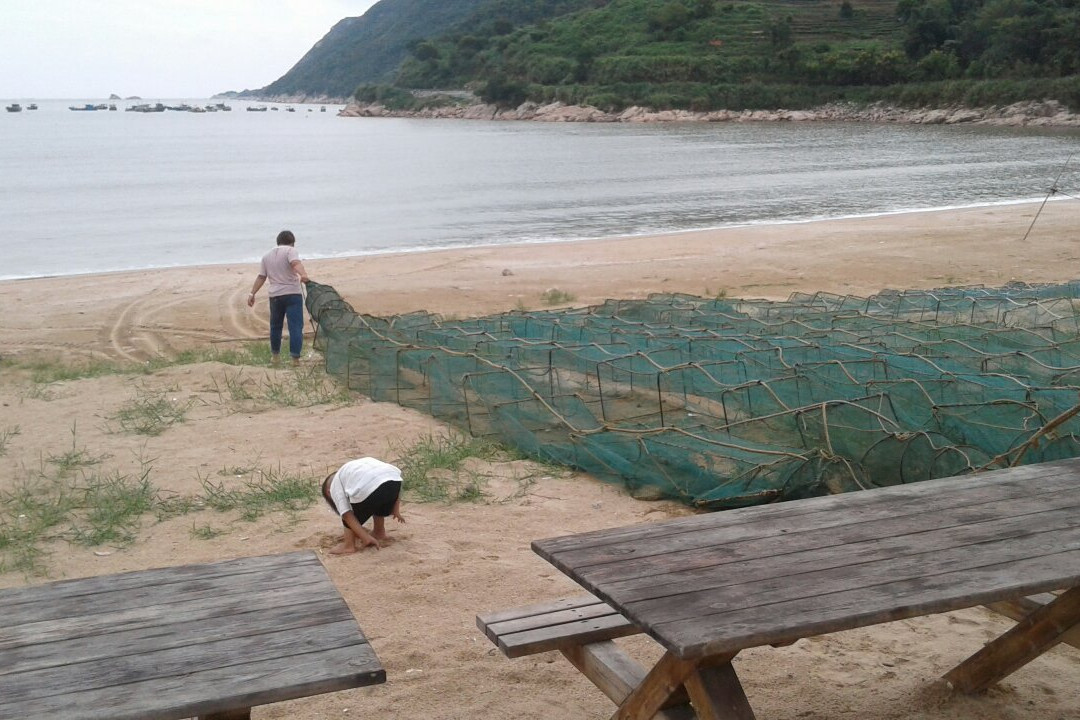 外浒沙滩景点图片